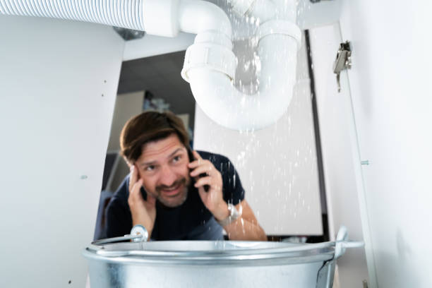 Best Sprinkler Systems  in Jonesboro, LA